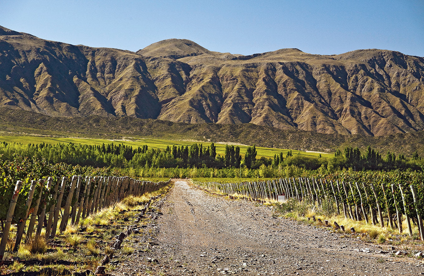 Argentina - A Natural Wine Producer