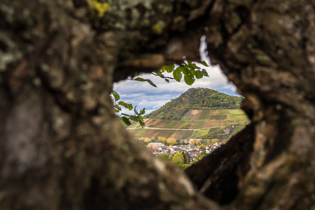 Heritage & Terroir