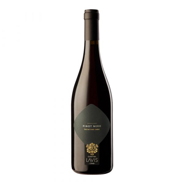 Cantina Lavis Pinot Nero Trentino DOC 2023