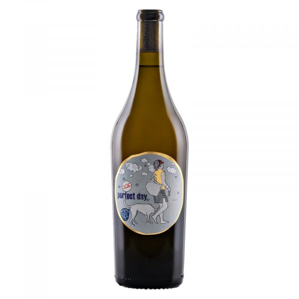 Pittnauer Perfect Day 2024