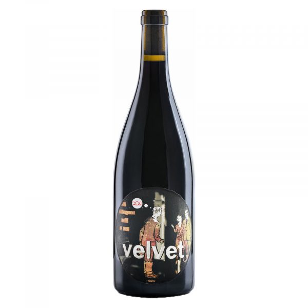 Pittnauer Velvet NV