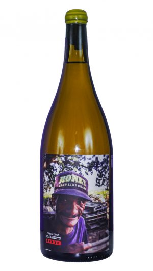Testalonga El Bandito Lekker 2020 - Magnum
