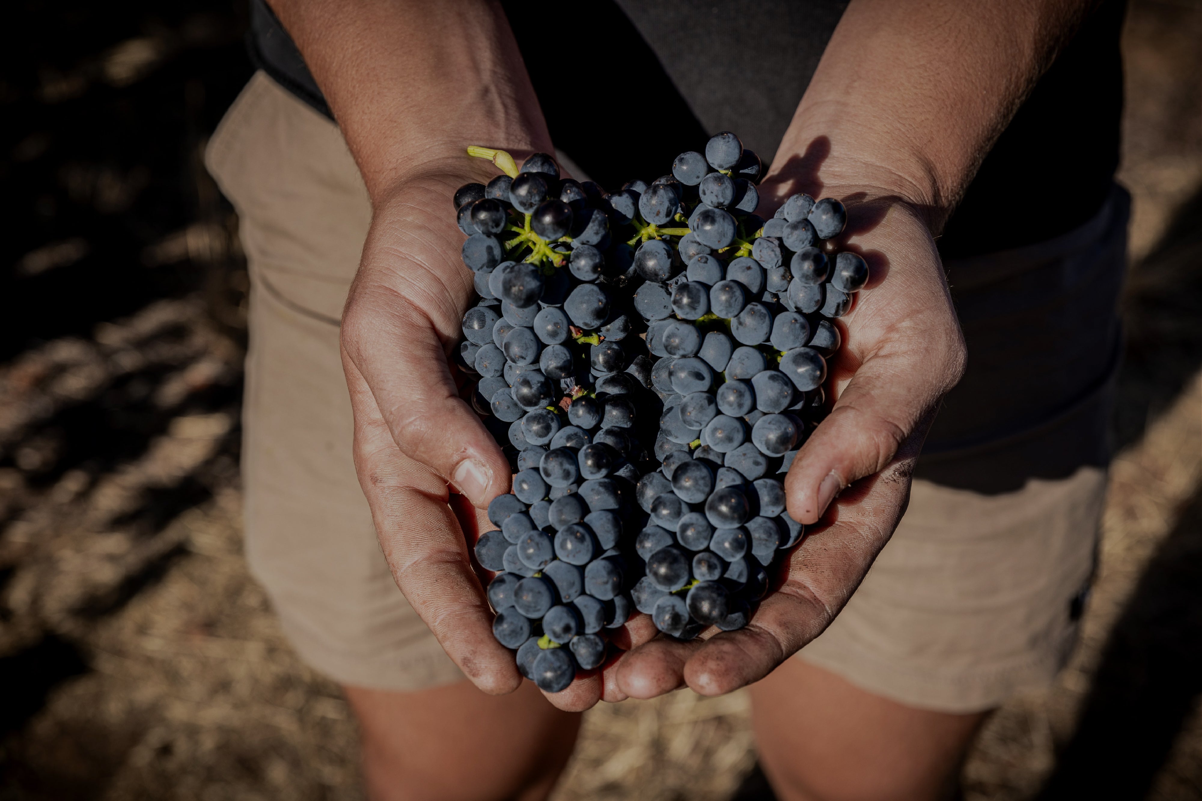 Wineries